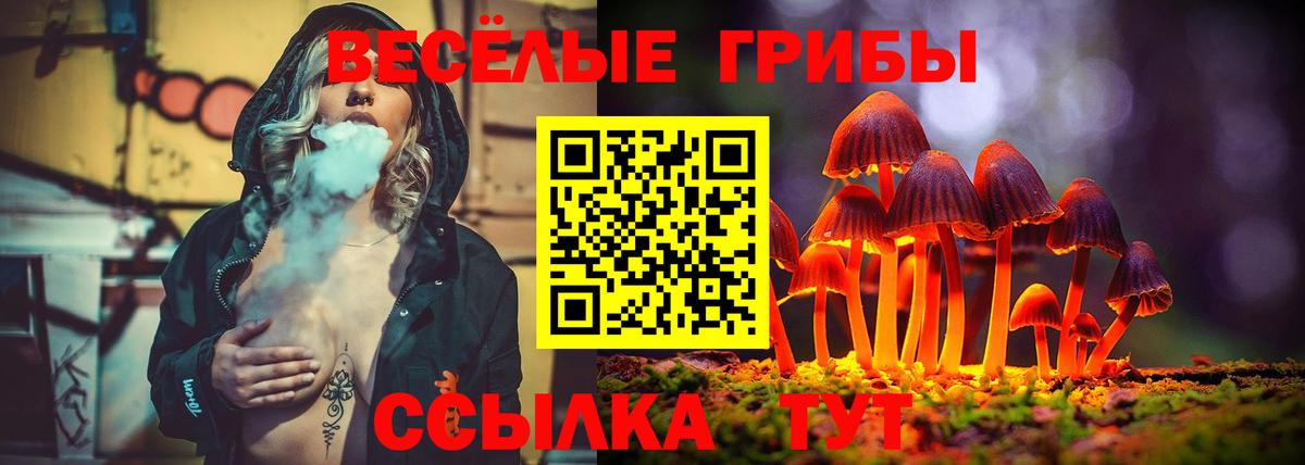 Псилоцибиновые грибы MAGIC MUSHROOMS  Вход с VPN  Владивосток 