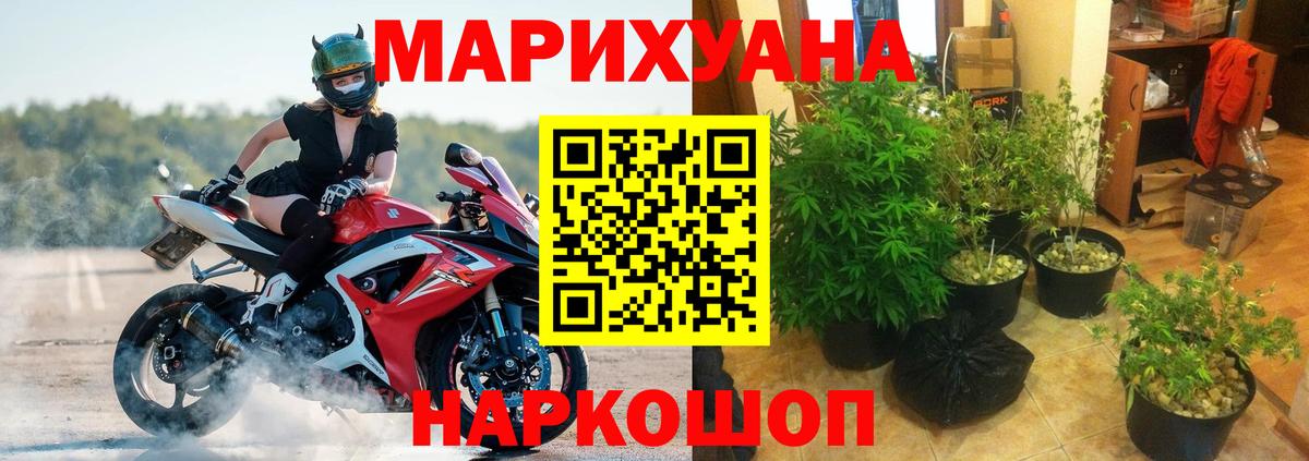 Бошки марихуана Amnesia  Шишки марихуана гибрид  Вход с VPN  Конопля семена  Владивосток 